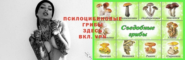 эйфоретик Гусиноозёрск