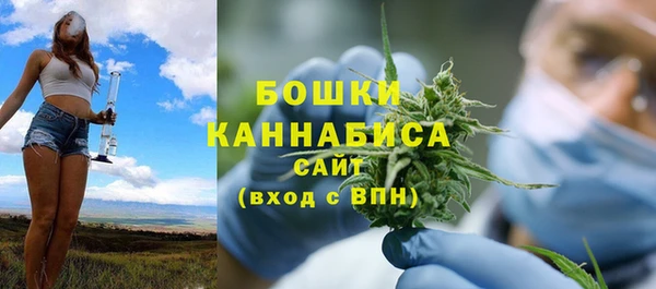spice Гусь-Хрустальный