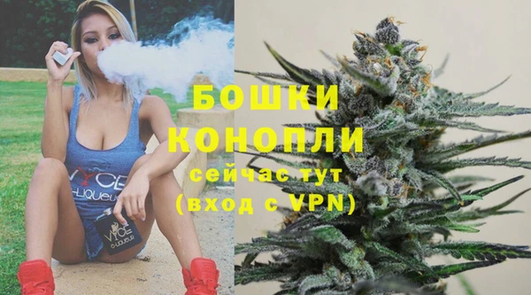 эйфоретик Гусиноозёрск