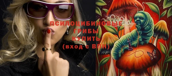 spice Гусь-Хрустальный