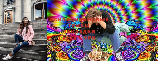 эйфоретик Гусиноозёрск