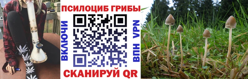 blacksprut ссылка Приволжский Псилоцибиновые грибы прущие грибы