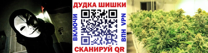 Бошки Шишки THC 21%  как найти закладки  Приволжский 